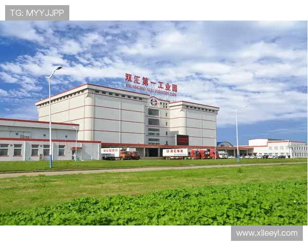 全面解析HO168博士：行业领先的专业发展平台